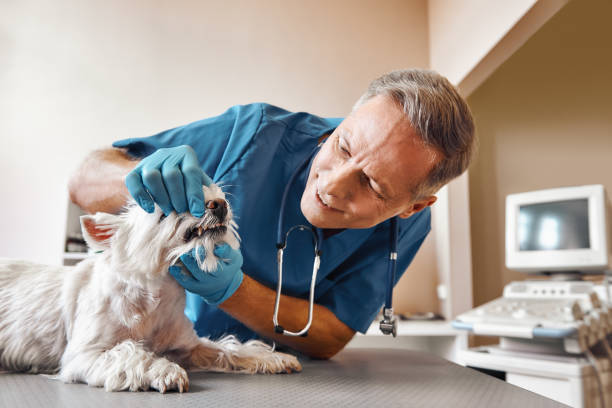 Best Emergency Tooth Extraction in Dalton, GA